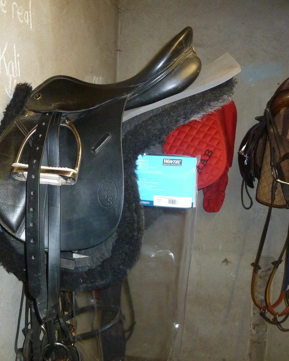 Bates Caprilli All-Purpose Saddle photo 1