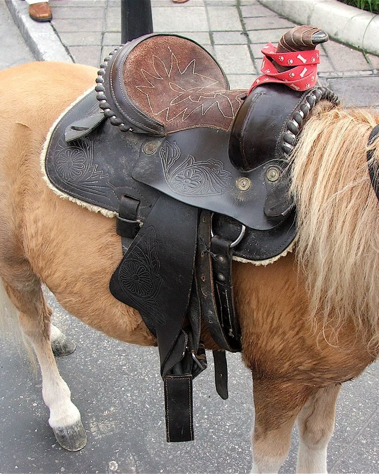 Crosby Kids Pony Saddle photo 1